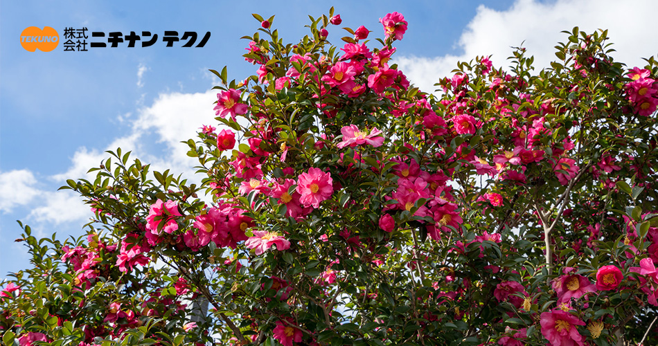 プラスチック加工